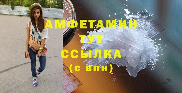 шишки Бородино