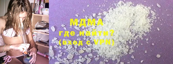шишки Бородино