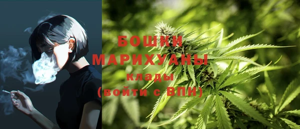 мдпв Бугульма