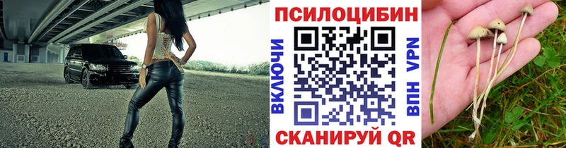 закладка  Унеча  Галлюциногенные грибы MAGIC MUSHROOMS 