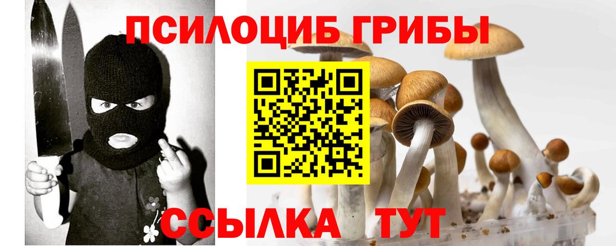 Галлюциногенные грибы прущие грибы Унеча