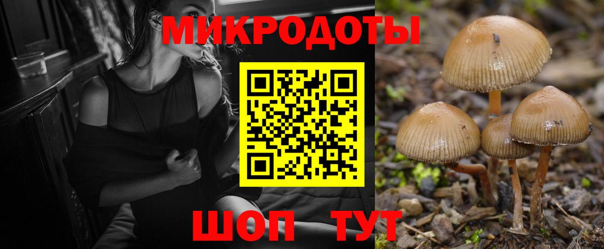 Галлюциногенные грибы Psilocybe  Галлюциногенные грибы MAGIC MUSHROOMS  Унеча  Вход с VPN 